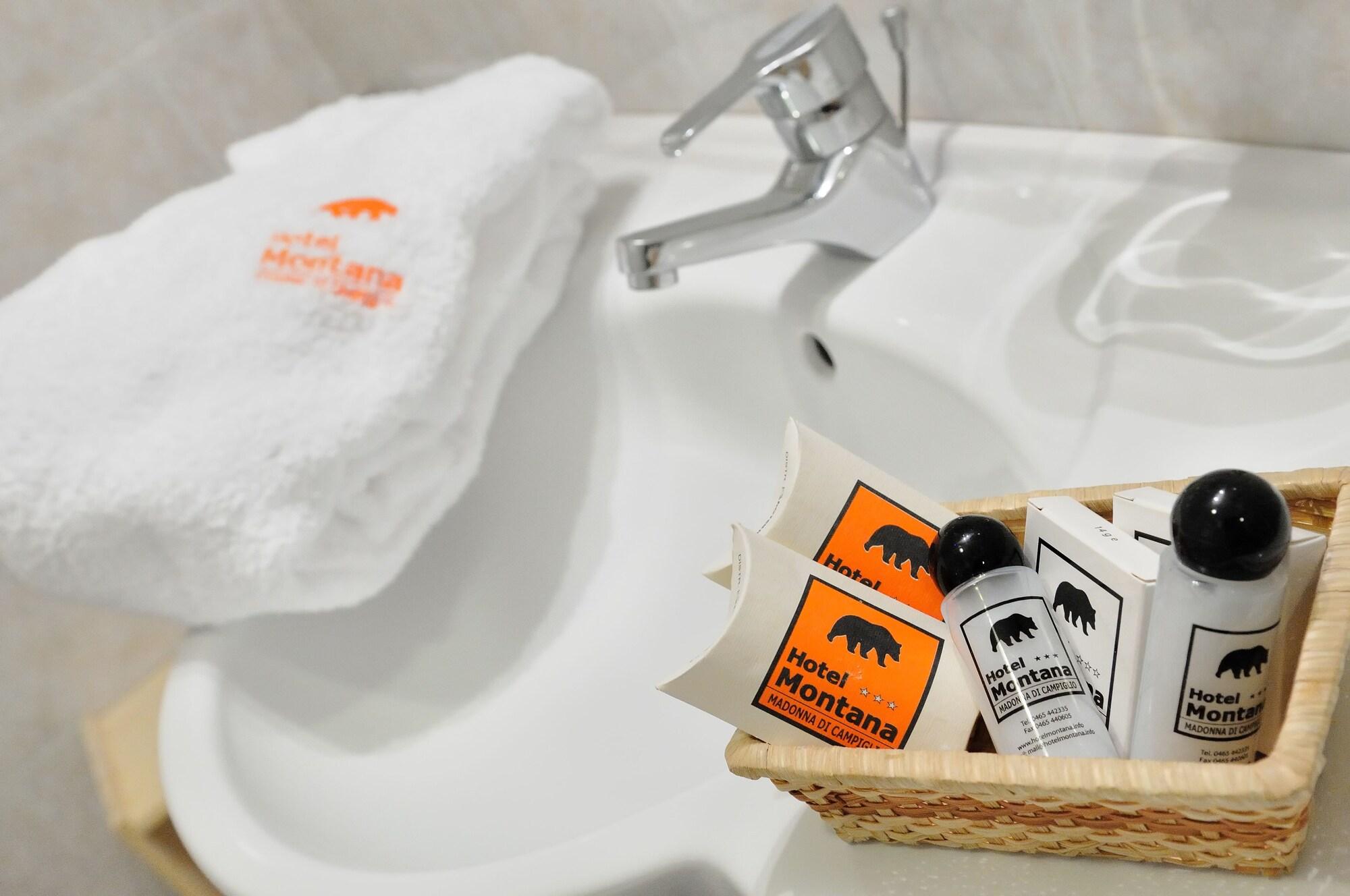 Hotel Montana 3*